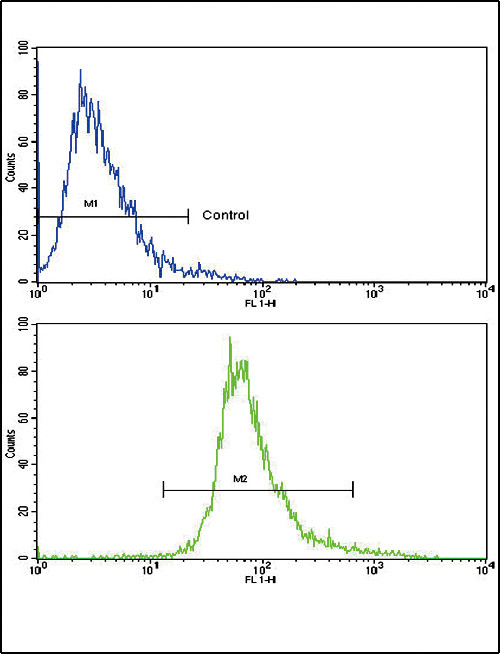 BDNF Antibody in Flow Cytometry (Flow)