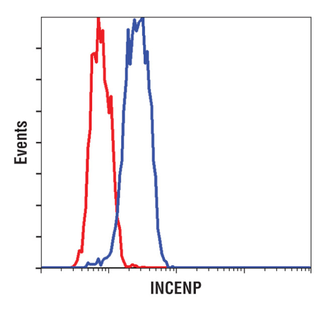 INCENP Antibody in Flow Cytometry (Flow)