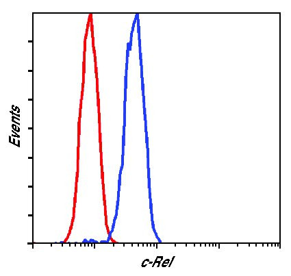 c-Rel Antibody in Flow Cytometry (Flow)