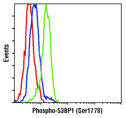 Phospho-53BP1 (Ser1778) Antibody in Flow Cytometry (Flow)
