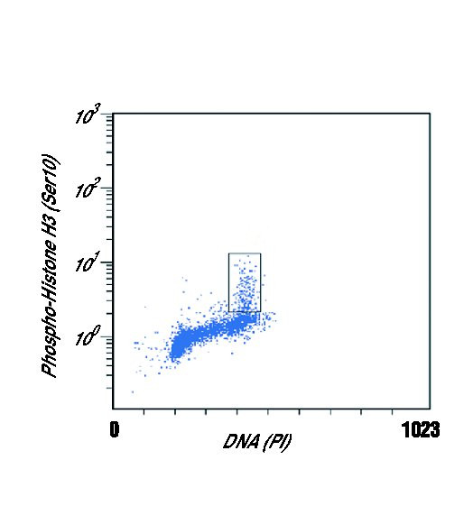 Phospho-Histone H3 (Ser10) Antibody in Flow Cytometry (Flow)