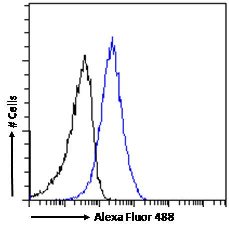 DDAH1 Antibody in Flow Cytometry (Flow)