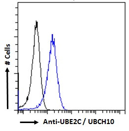 UBE2C Antibody in Flow Cytometry (Flow)