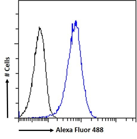 Dynactin 1 Antibody in Flow Cytometry (Flow)