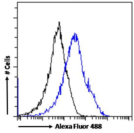 MAD3 Antibody in Flow Cytometry (Flow)