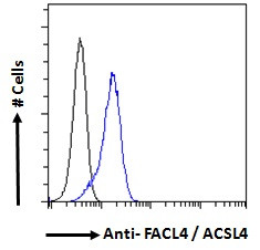 ACSL4 Antibody in Flow Cytometry (Flow)