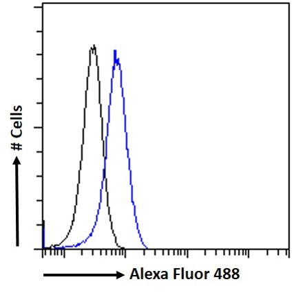 MURF1 Antibody in Flow Cytometry (Flow)