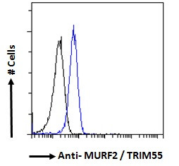 MURF2 Antibody in Flow Cytometry (Flow)