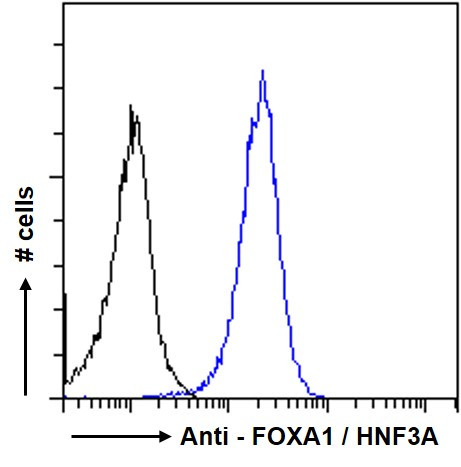 FOXA1 Antibody in Flow Cytometry (Flow)