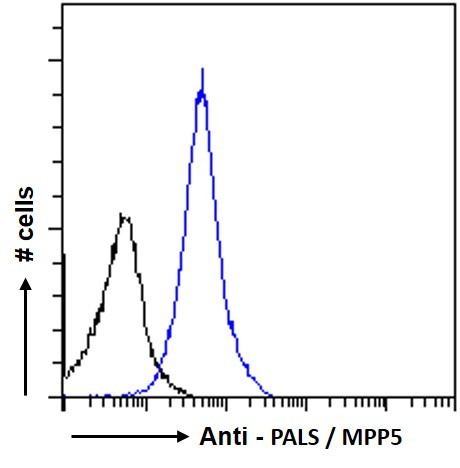 MPP5 Antibody in Flow Cytometry (Flow)