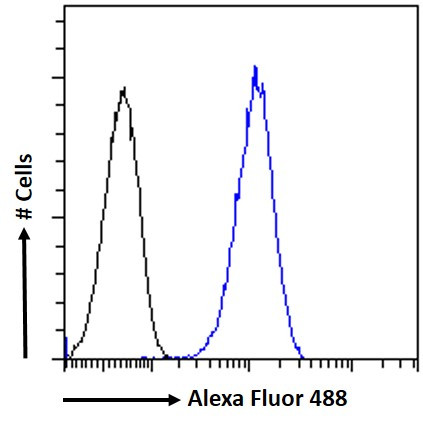 KPNA3 Antibody in Flow Cytometry (Flow)