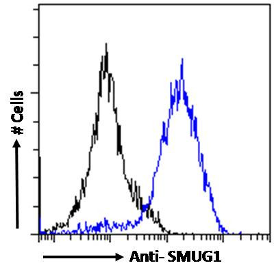 SMUG1 Antibody in Flow Cytometry (Flow)