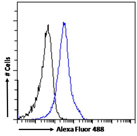 BAF53A/BAF53B Antibody in Flow Cytometry (Flow)