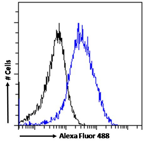 FLAP Antibody in Flow Cytometry (Flow)