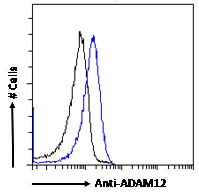 ADAM12 Antibody in Flow Cytometry (Flow)