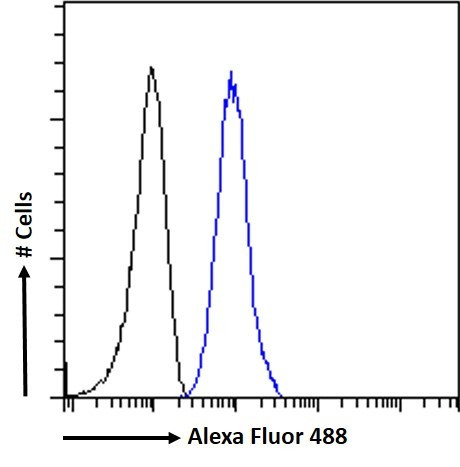 PLXND1 Antibody in Flow Cytometry (Flow)