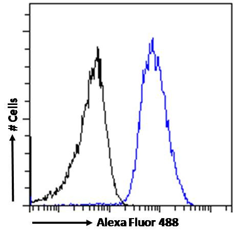 beta-Arrestin 2 Antibody in Flow Cytometry (Flow)