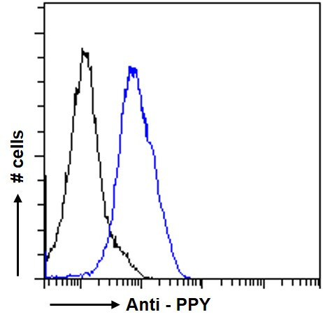 PPY Antibody in Flow Cytometry (Flow)