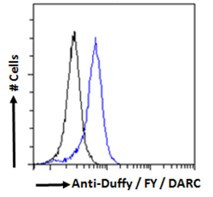 DARC Antibody in Flow Cytometry (Flow)