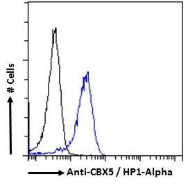 HP1 alpha Antibody in Flow Cytometry (Flow)