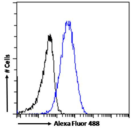 KPNB1 Antibody in Flow Cytometry (Flow)