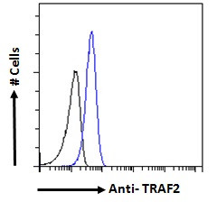 TRAF2 Antibody in Flow Cytometry (Flow)