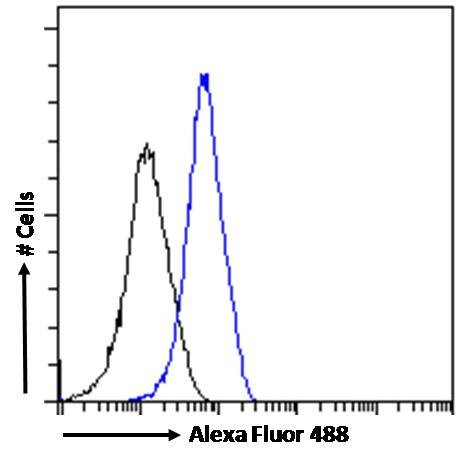 IBA1 Antibody in Flow Cytometry (Flow)