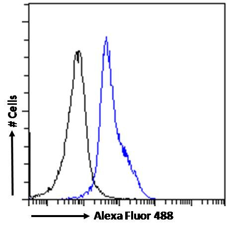 LEF1 Antibody in Flow Cytometry (Flow)