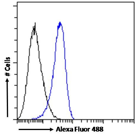 STAM2 Antibody in Flow Cytometry (Flow)