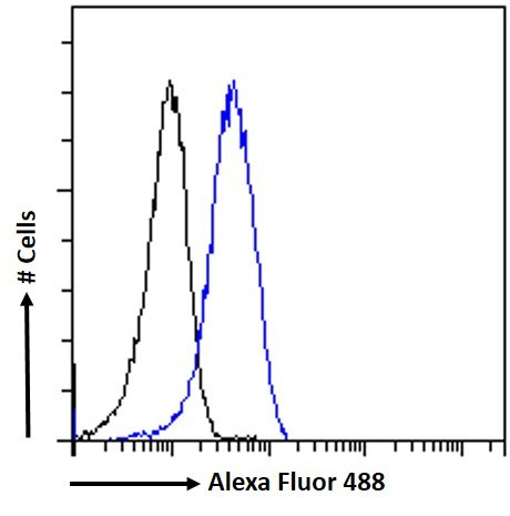 Leptin Receptor Antibody in Flow Cytometry (Flow)