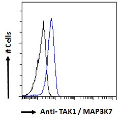 TAK1 Antibody in Flow Cytometry (Flow)