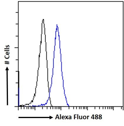 GRP94 Antibody in Flow Cytometry (Flow)