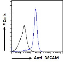 DSCAM Antibody in Flow Cytometry (Flow)