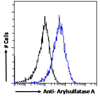Arylsulfatase A Antibody in Flow Cytometry (Flow)