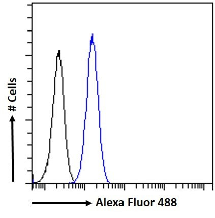 CCM2 Antibody in Flow Cytometry (Flow)