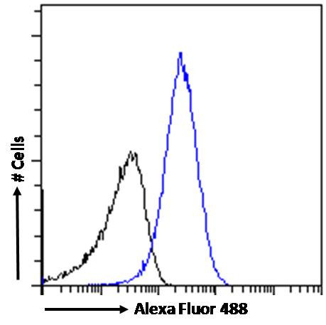 PRPF31 Antibody in Flow Cytometry (Flow)