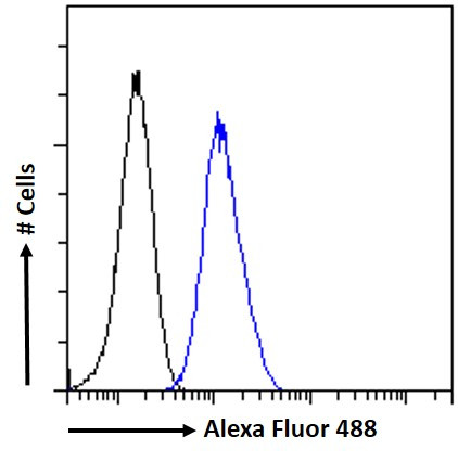 PAX6 Antibody in Flow Cytometry (Flow)