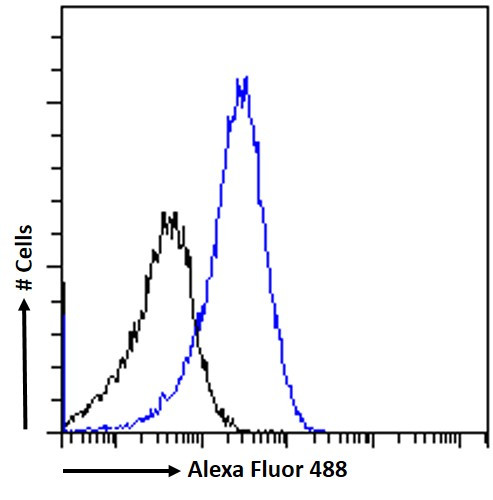 NR0B1 Antibody in Flow Cytometry (Flow)