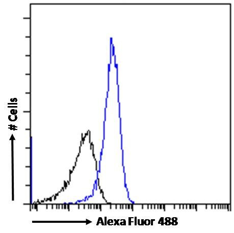 CD26 Antibody in Flow Cytometry (Flow)