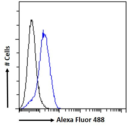 TREM2 Antibody in Flow Cytometry (Flow)