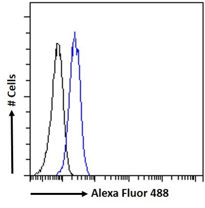 PINK1 Antibody in Flow Cytometry (Flow)