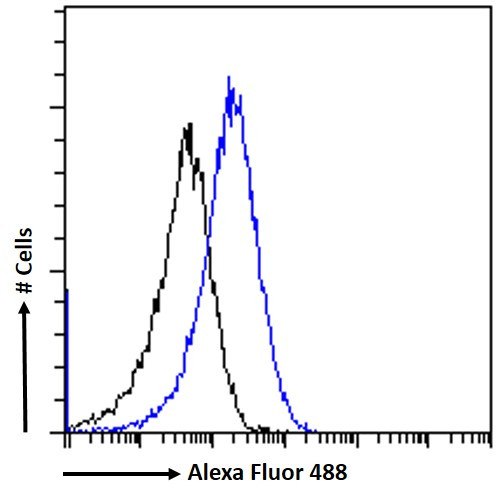 SAP97 Antibody in Flow Cytometry (Flow)