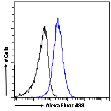 ABCC11 Antibody in Flow Cytometry (Flow)