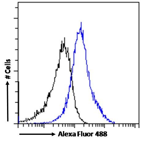 PMP70 Antibody in Flow Cytometry (Flow)