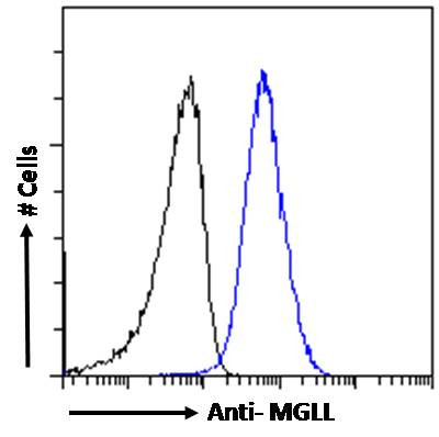 Monoacylglycerol Lipase Antibody in Flow Cytometry (Flow)