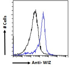 WIZ Antibody in Flow Cytometry (Flow)