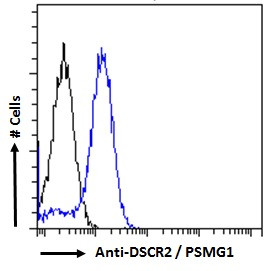 PSMG1 Antibody in Flow Cytometry (Flow)