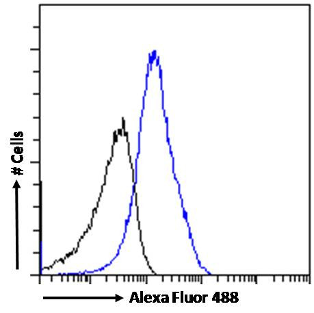 IL-18 Antibody in Flow Cytometry (Flow)