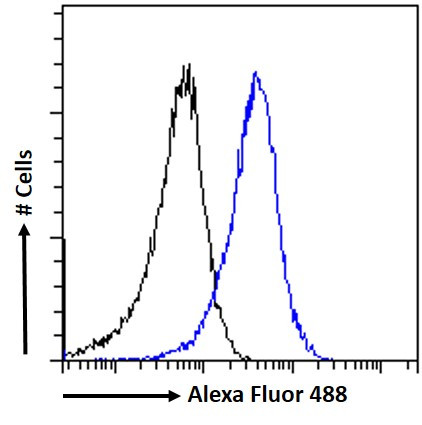 ACAT1 Antibody in Flow Cytometry (Flow)