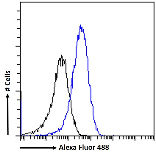 AIM2 Antibody in Flow Cytometry (Flow)